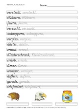 DSS_2S_Bu_er_Nr_03.pdf